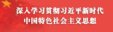 深入学习贯彻习近平新时代中国特色社会主义思想